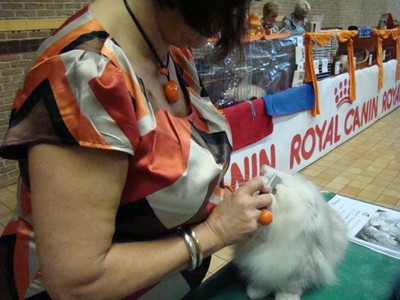 20121021_12 (Expo)